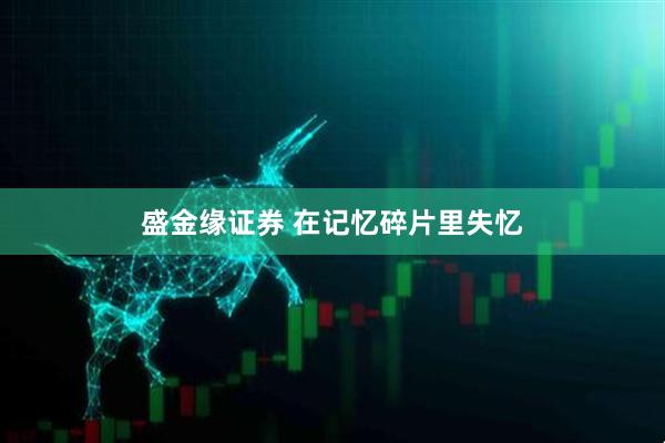 盛金缘证券 在记忆碎片里失忆