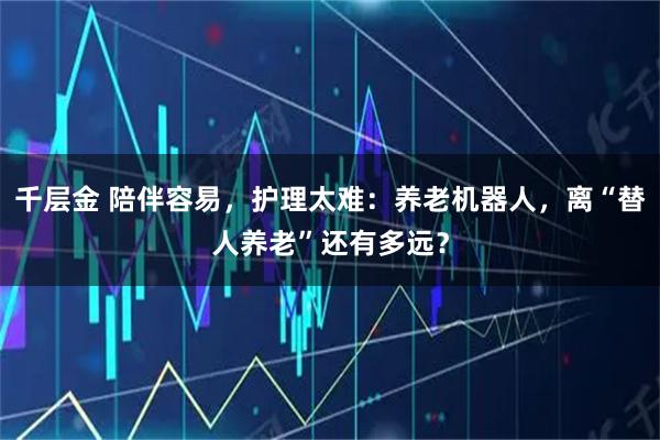 千层金 陪伴容易,护理太难:养老机器人,离“替人养老”还有多远?