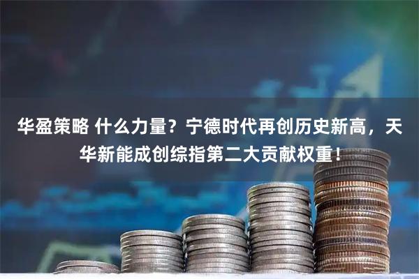 华盈策略 什么力量？宁德时代再创历史新高，天华新能成创综指第二大贡献权重！