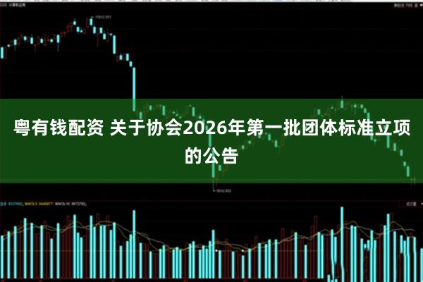 粤有钱配资 关于协会2026年第一批团体标准立项的公告