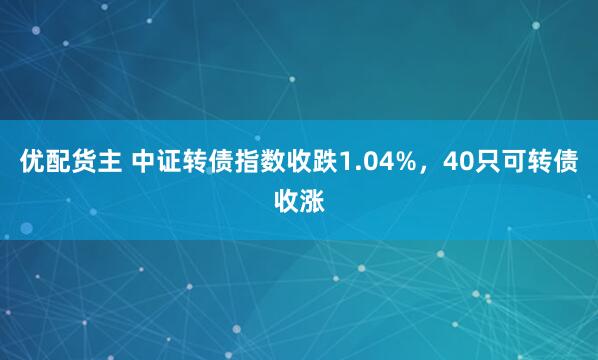优配货主 中证转债指数收跌1.04%，40只可转债收涨
