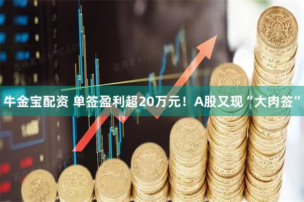 牛金宝配资 单签盈利超20万元！A股又现“大肉签”