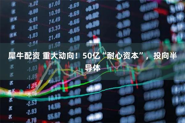 犀牛配资 重大动向！50亿“耐心资本”，投向半导体