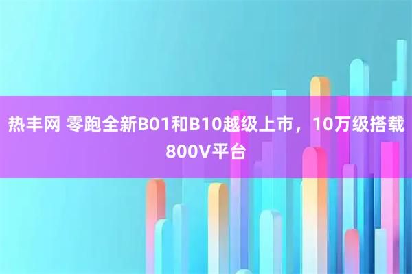 热丰网 零跑全新B01和B10越级上市，10万级搭载800V平台