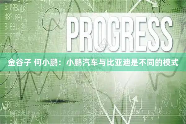 金谷子 何小鹏：小鹏汽车与比亚迪是不同的模式