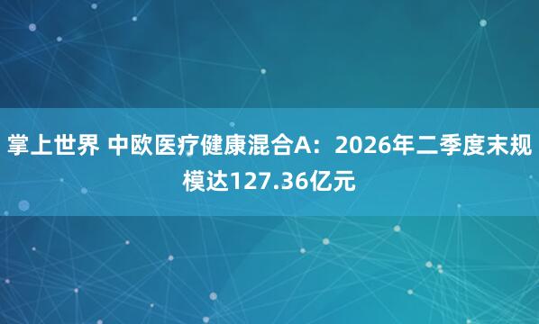 掌上世界 中欧医疗健康混合A：2026年二季度末规模达127.36亿元