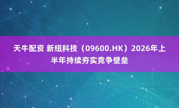 天牛配资 新纽科技（09600.HK）2026年上半年持续夯实竞争壁垒